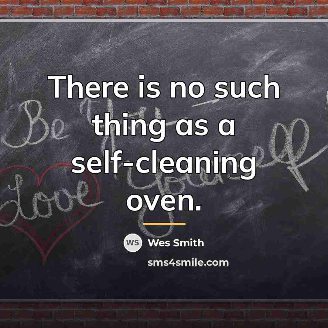 “There is no such thing as a self-cleaning oven.…” quote by Wes Smith