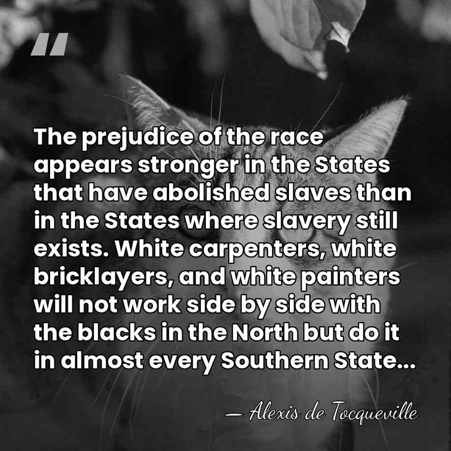 The prejudice of the race appears stronger in the States that have&hellip; - Alexis de Tocqueville