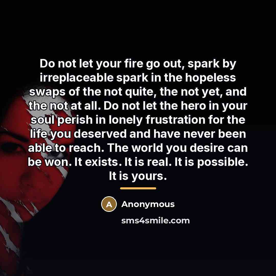 “Do not let your fire go out, spark by irreplaceable…” quote by Anonymous