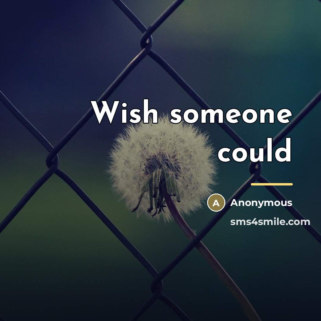 “Wish someone could” quote by Anonymous
