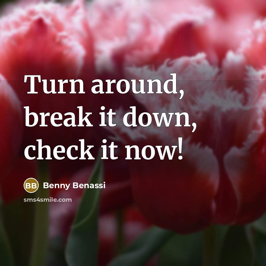 “Turn around, break it down, check it now!” quote by Benny Benassi