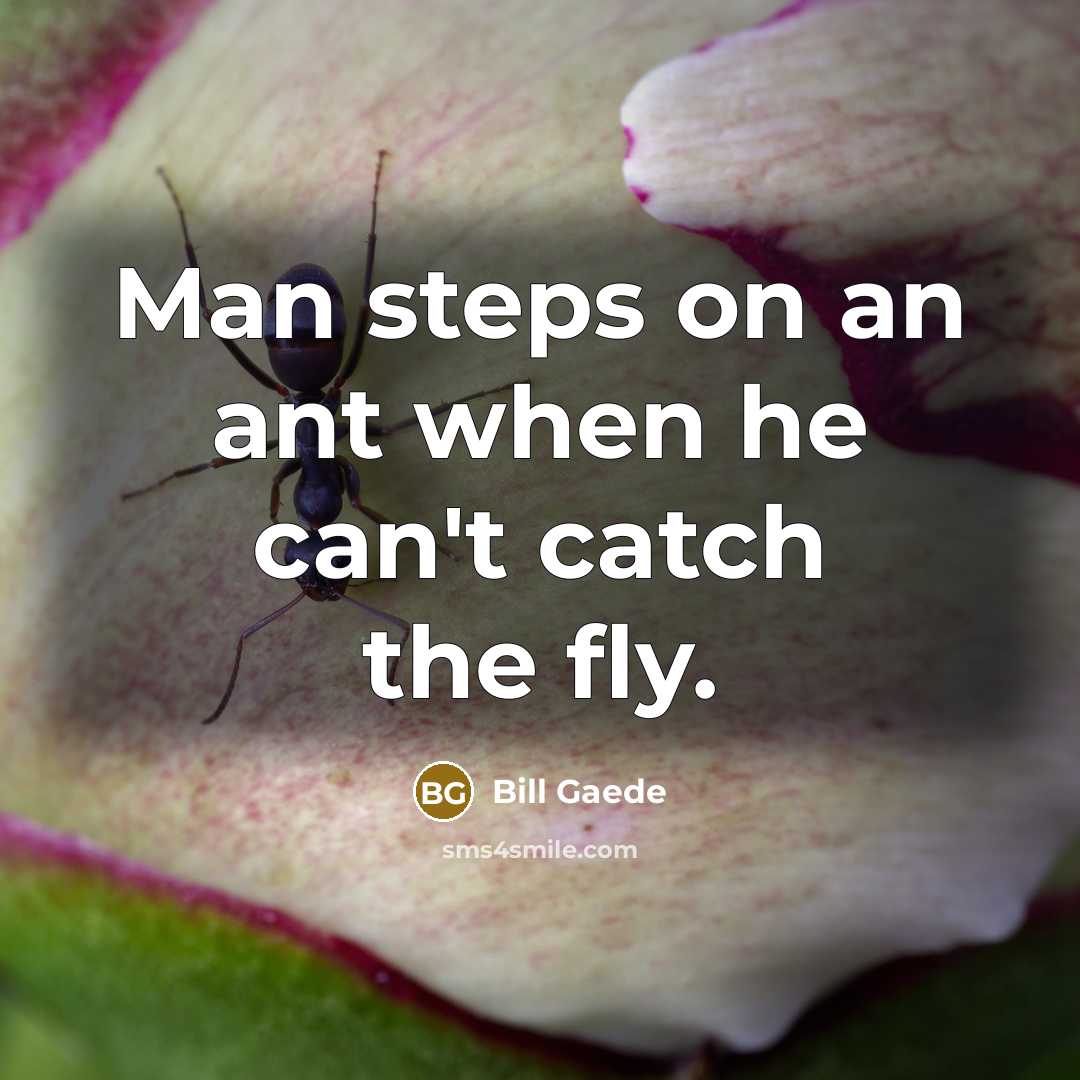 “Man steps on an ant when he can't catch the…” quote by Bill Gaede