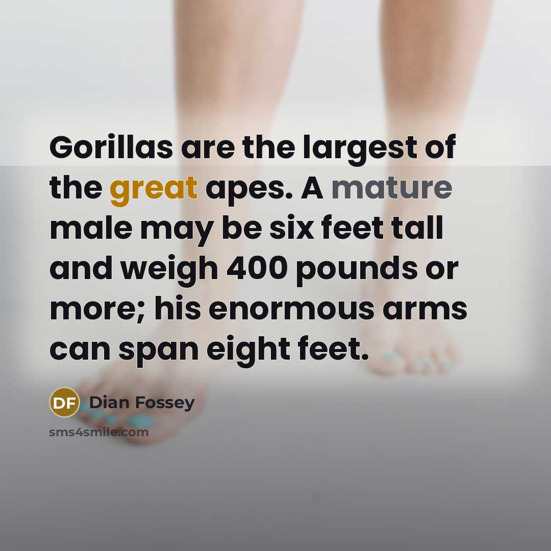 “Gorillas are the largest of the great apes. A mature…” quote by Dian Fossey