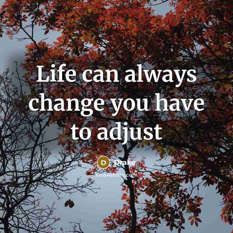“Life can always change you have to adjust…” quote by Drake