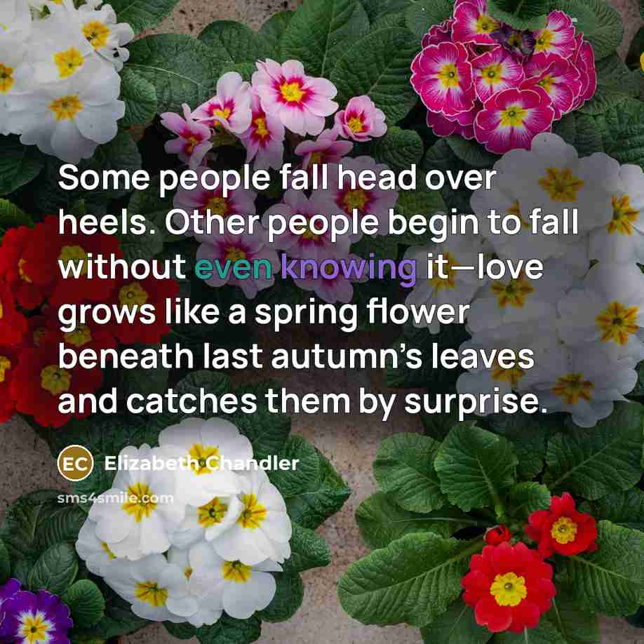 “Some people fall head over heels. Other people begin to…” quote by Elizabeth Chandler