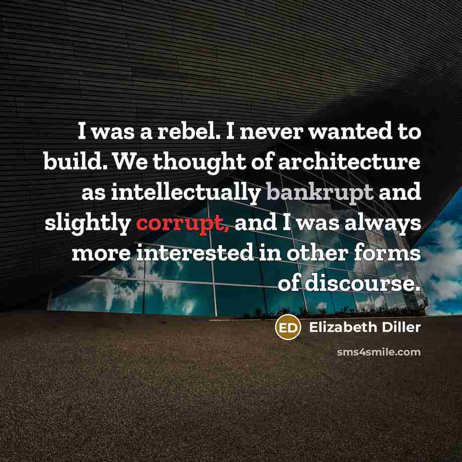 “I was a rebel. I never wanted to build. We…” quote by Elizabeth Diller