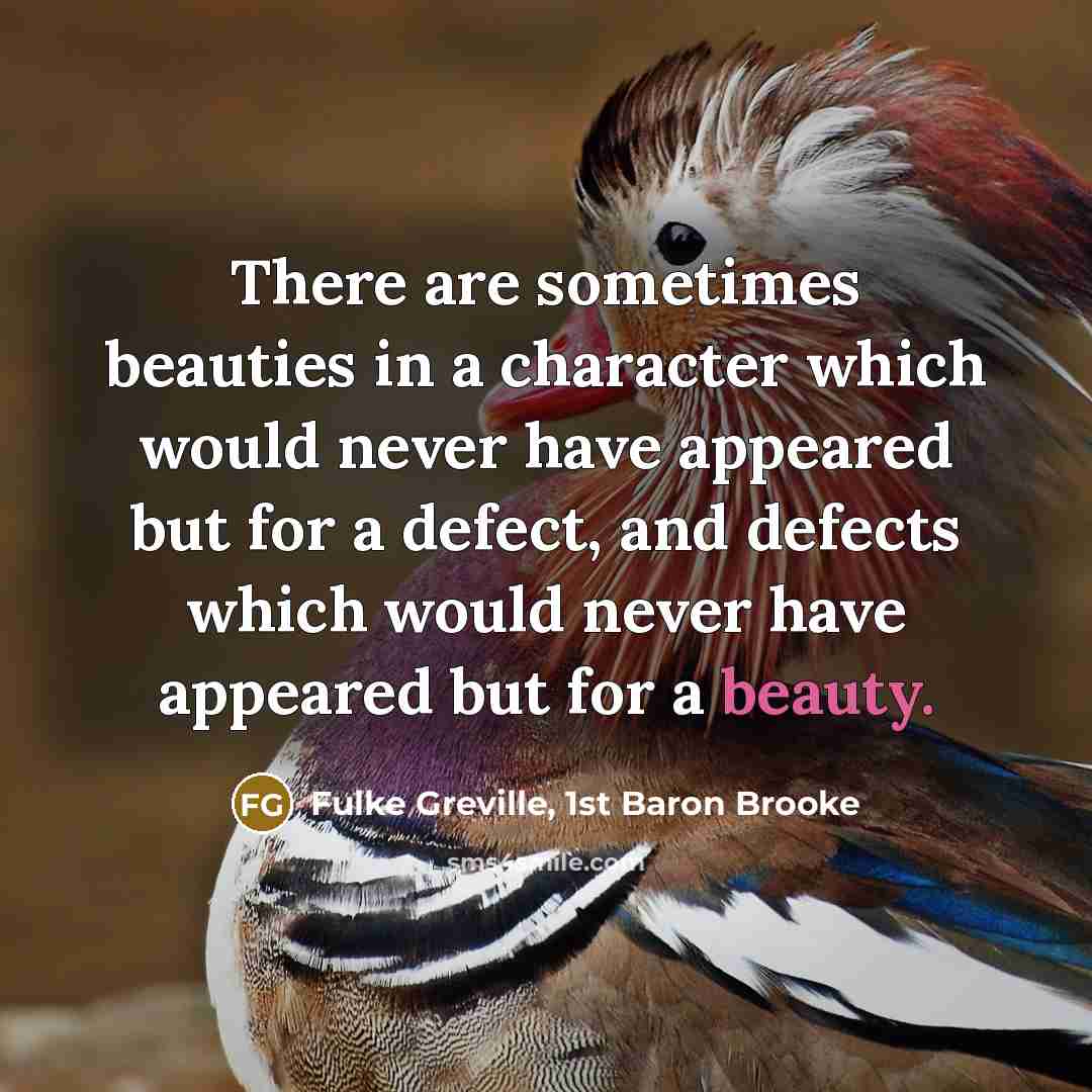 “There are sometimes beauties in a character which would never…” quote by Fulke Greville, 1st Baron Brooke