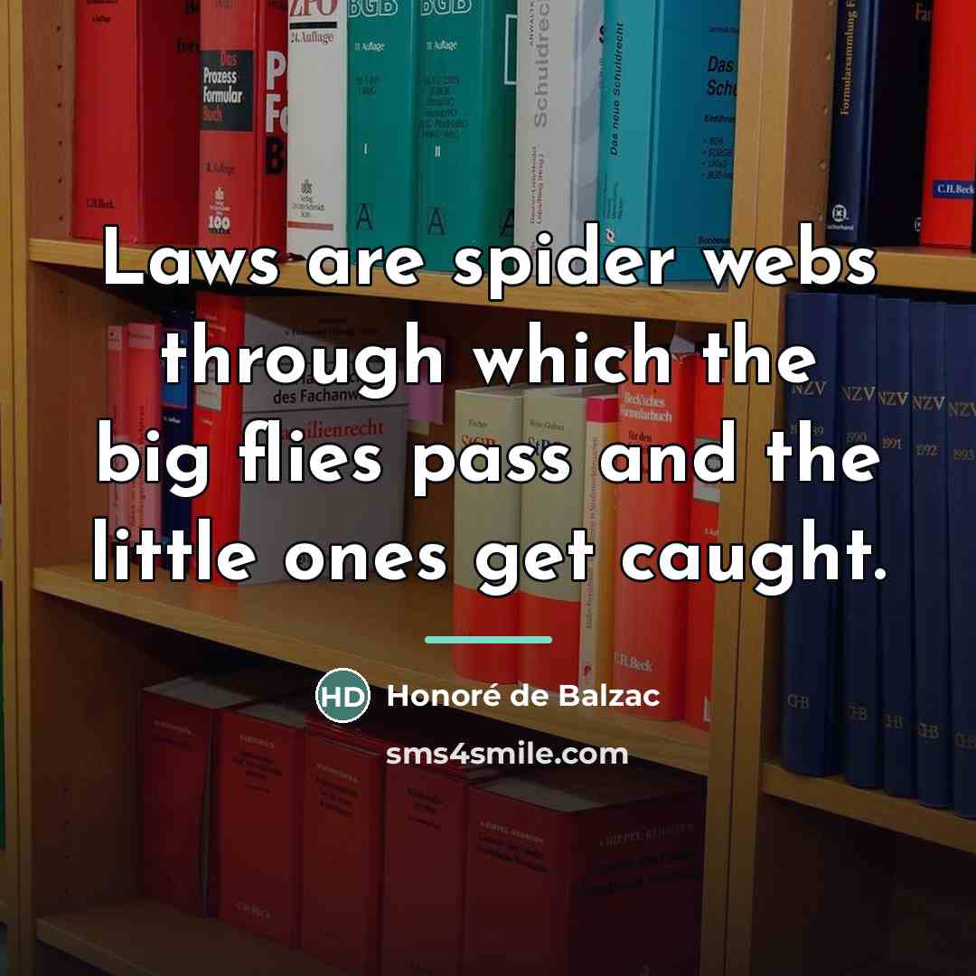 “Laws are spider webs through which the big flies pass…” quote by Honore de Balzac