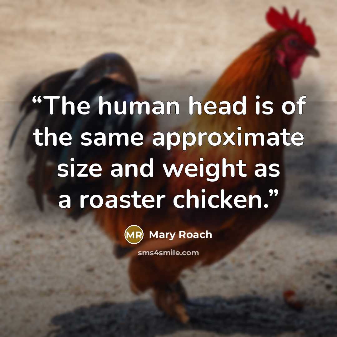 “The human head is of the same approximate size and weight as a roaster chicken.” quote by Mary Roach