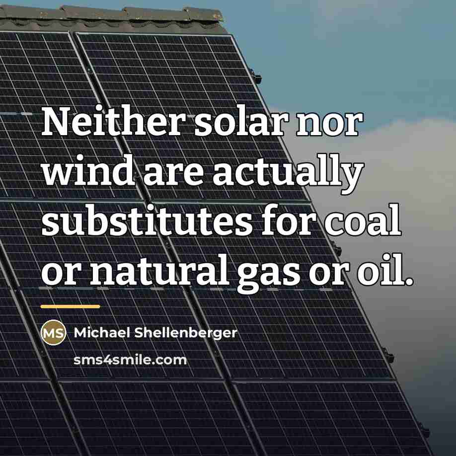 “Neither solar nor wind are actually substitutes for coal or…” quote by Michael Shellenberger