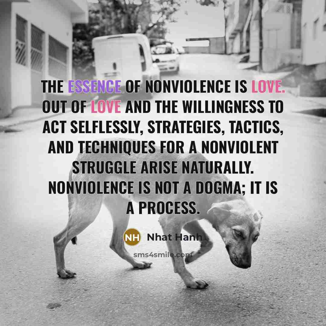 “The essence of nonviolence is love. Out of love and…” quote by Nhat Hanh