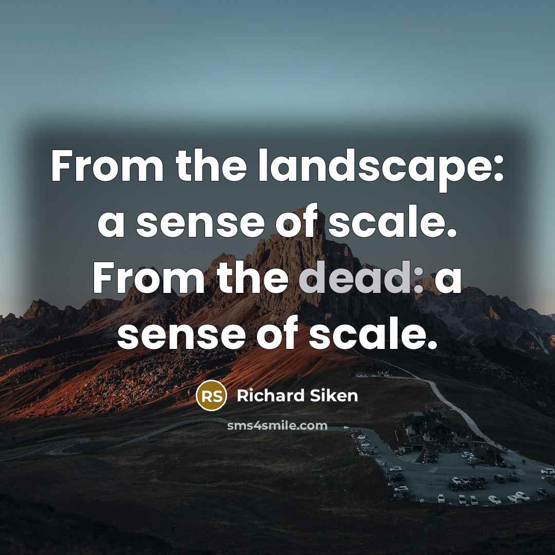“From the landscape: a sense of scale. From the dead:…” quote by Richard Siken