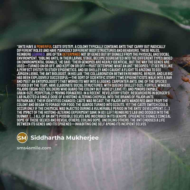 “Ants have a powerful caste system. A colony typically contains ants that carry out radically different roles and have markedly different body structures and behaviors. These roles, Reinberg learned, are often determined not by genes but by signals from the physical and social environment. 'Sibling…” quote by Siddhartha Mukherjee