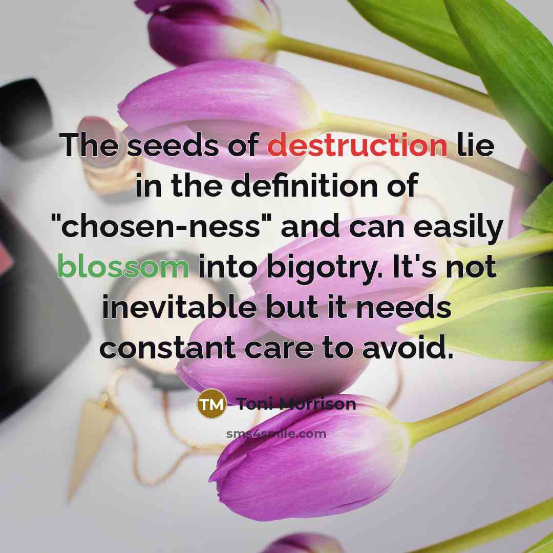 “The seeds of destruction lie in the definition of "chosen-ness"…” quote by Toni Morrison