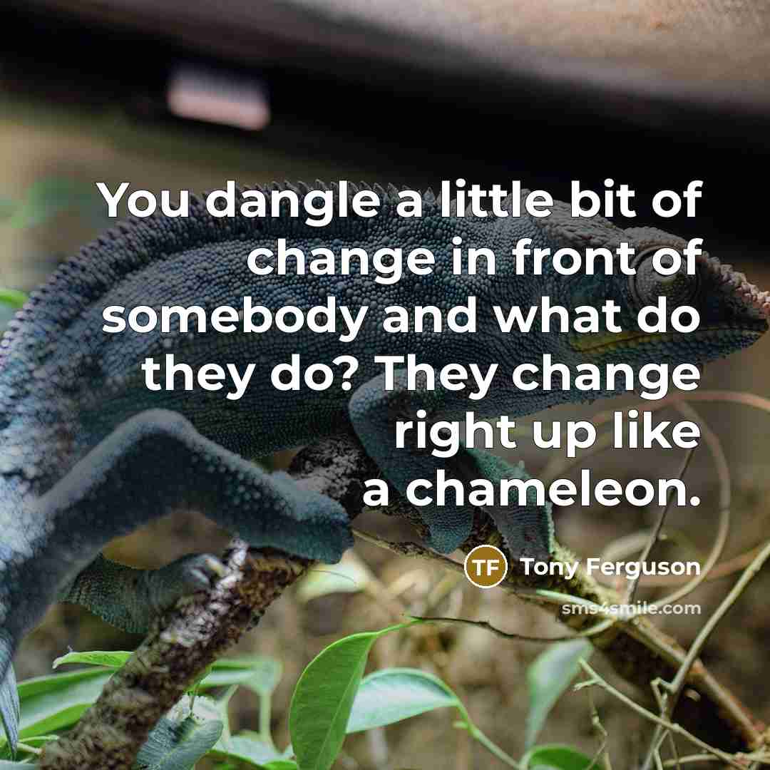 “You dangle a little bit of change in front of…” quote by Tony Ferguson