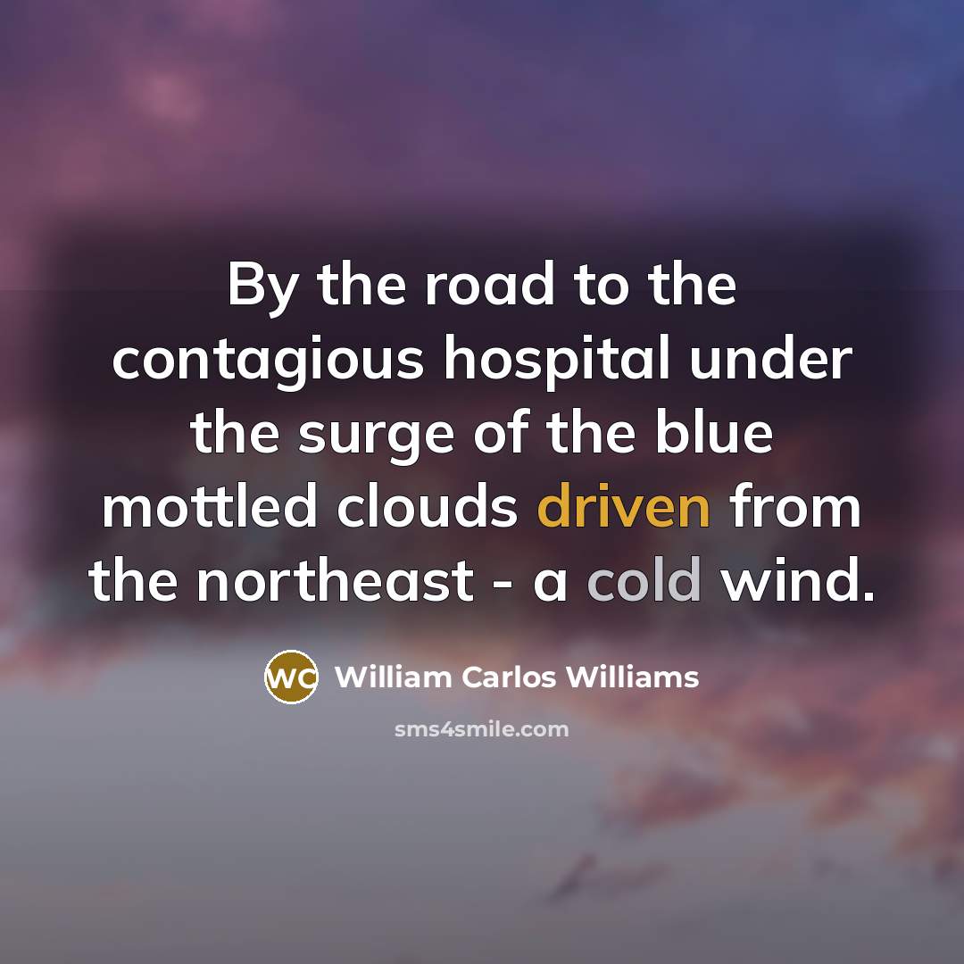 “By the road to the contagious hospital under the surge…” quote by William Carlos Williams