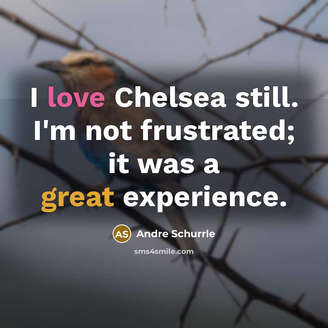 “I love Chelsea still. I'm not frustrated; it was a…” quote by Andre Schurrle