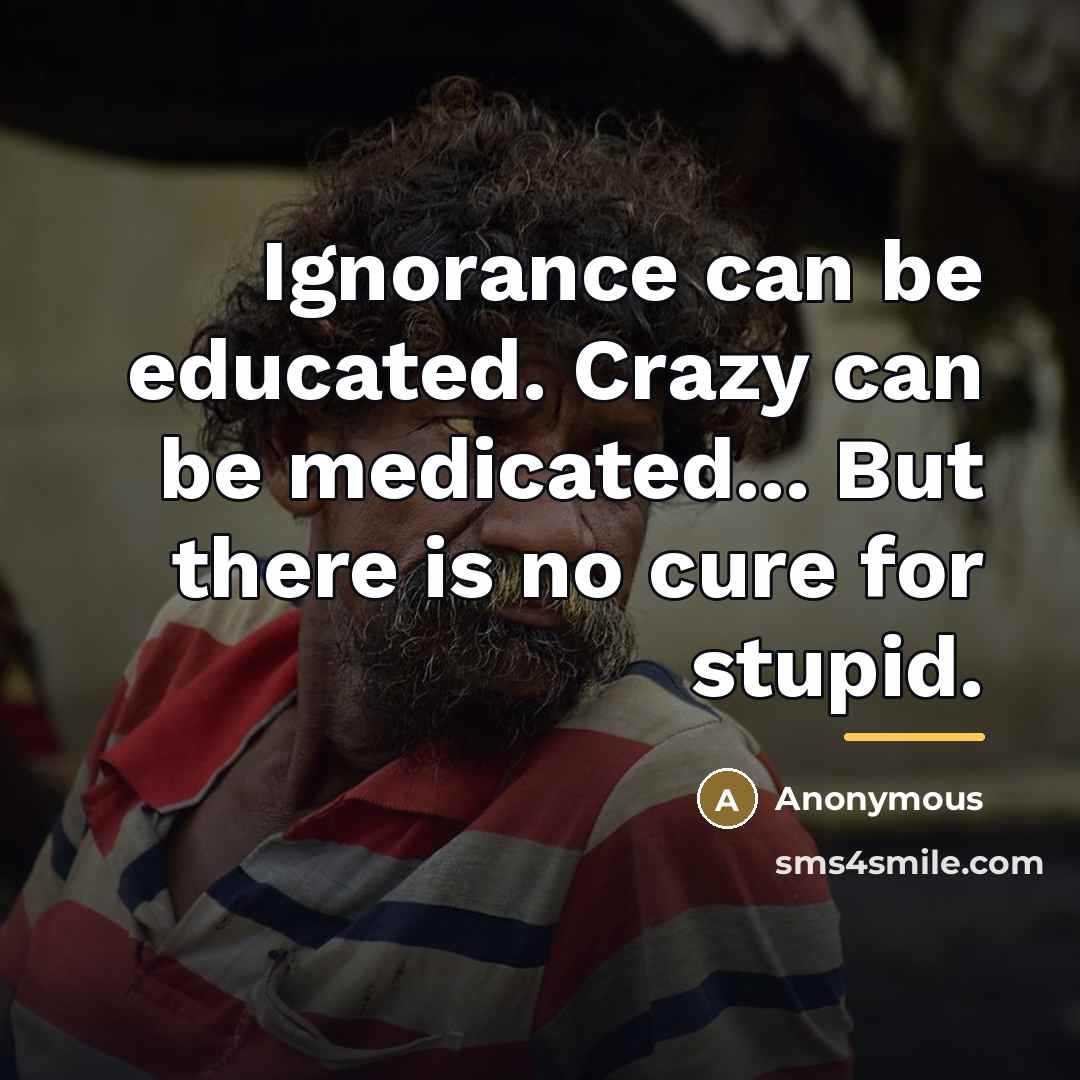 “Ignorance can be educated. Crazy can be medicated... But there…” quote by Anonymous