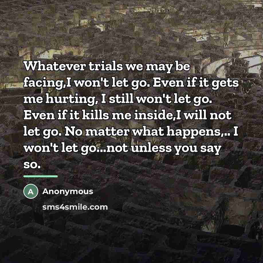 “Whatever trials we may be facing,I won't let go. Even…” quote by Anonymous