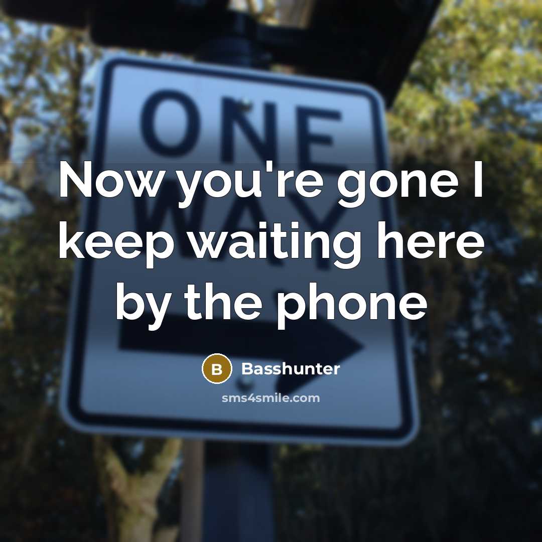 “Now you're gone I keep waiting here by the phone” quote by Basshunter