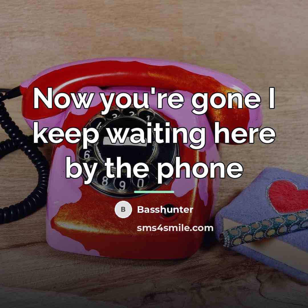 “Now you're gone I keep waiting here by the phone…” quote by Basshunter