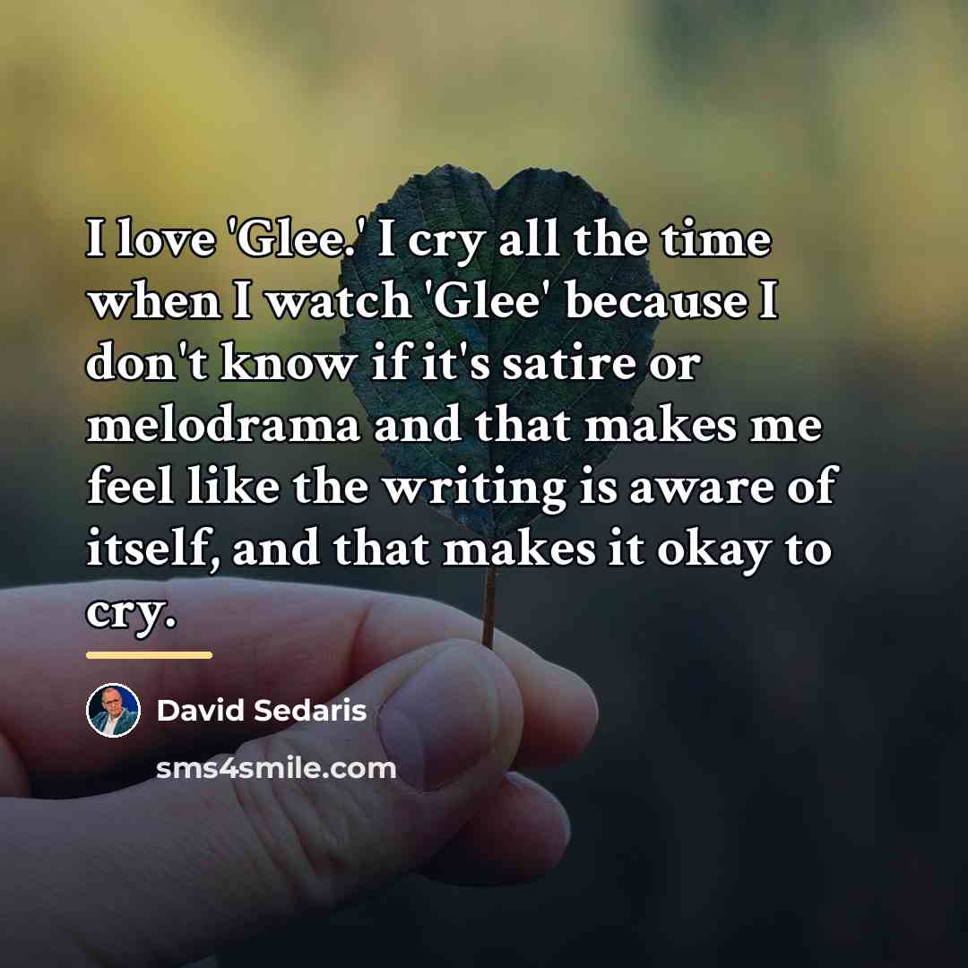 “I love 'Glee.' I cry all the time when I…” quote by David Sedaris