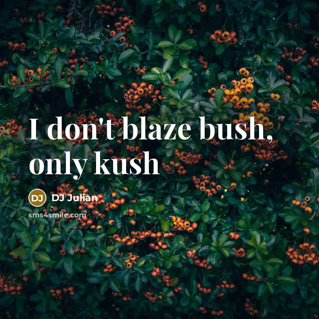 “I don't blaze bush, only kush” quote by DJ Julian