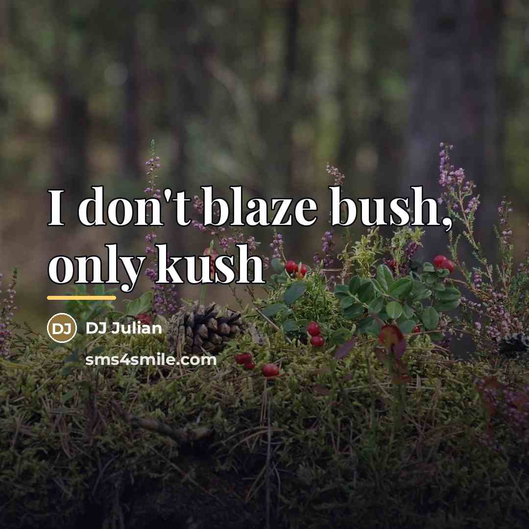 “I don't blaze bush, only kush…” quote by DJ Julian