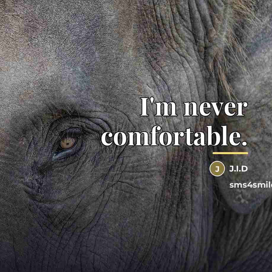 “I'm never comfortable.…” quote by J.I.D