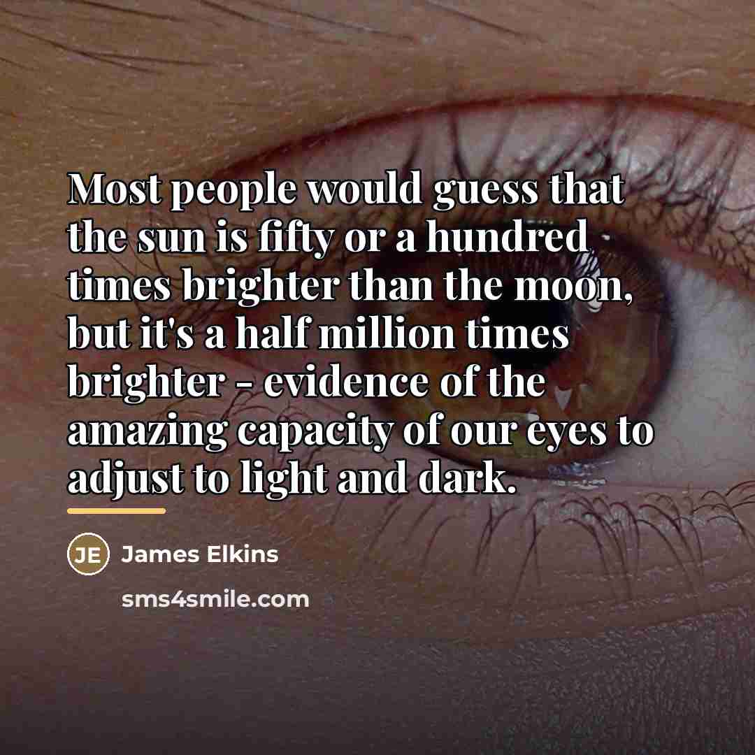 “Most people would guess that the sun is fifty or…” quote by James Elkins