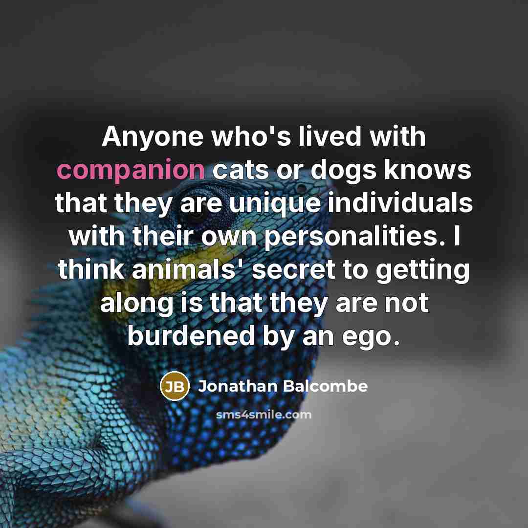 “Anyone who's lived with companion cats or dogs knows that…” quote by Jonathan Balcombe