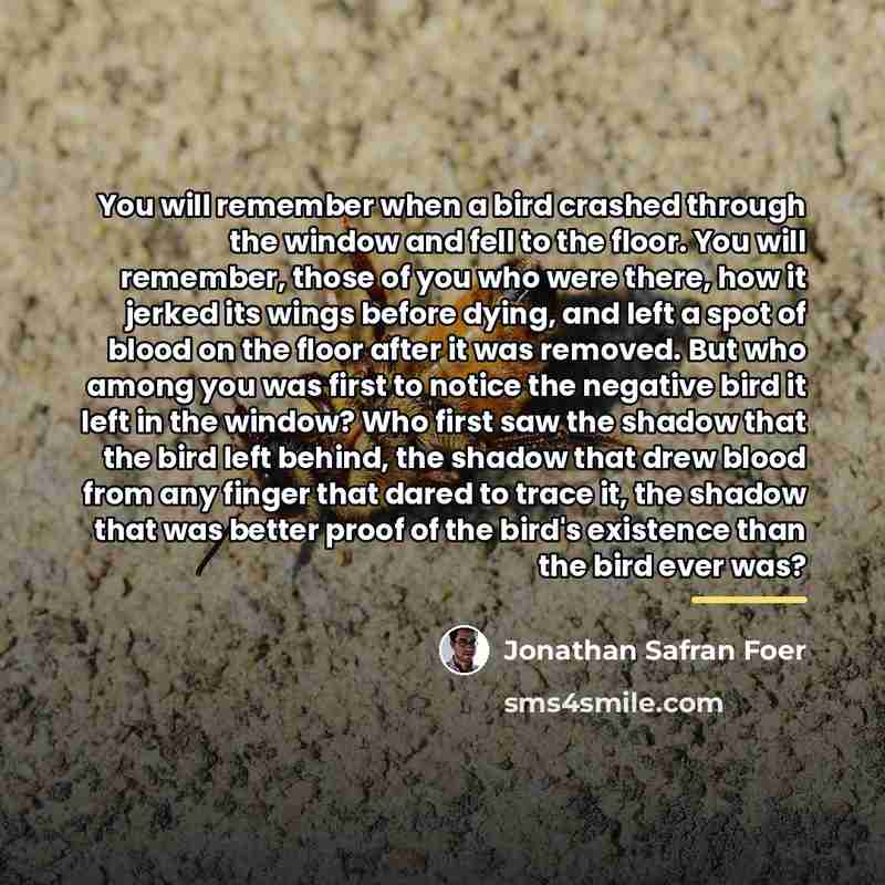 “You will remember when a bird crashed through the window…” quote by Jonathan Safran Foer