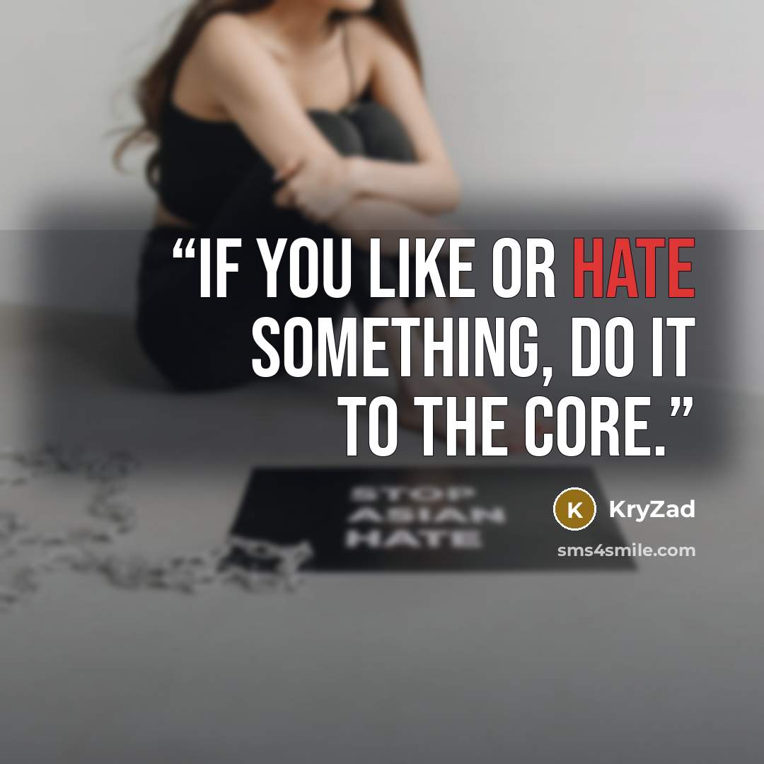 “If you like or hate something, do it to the core.” quote by KryZad