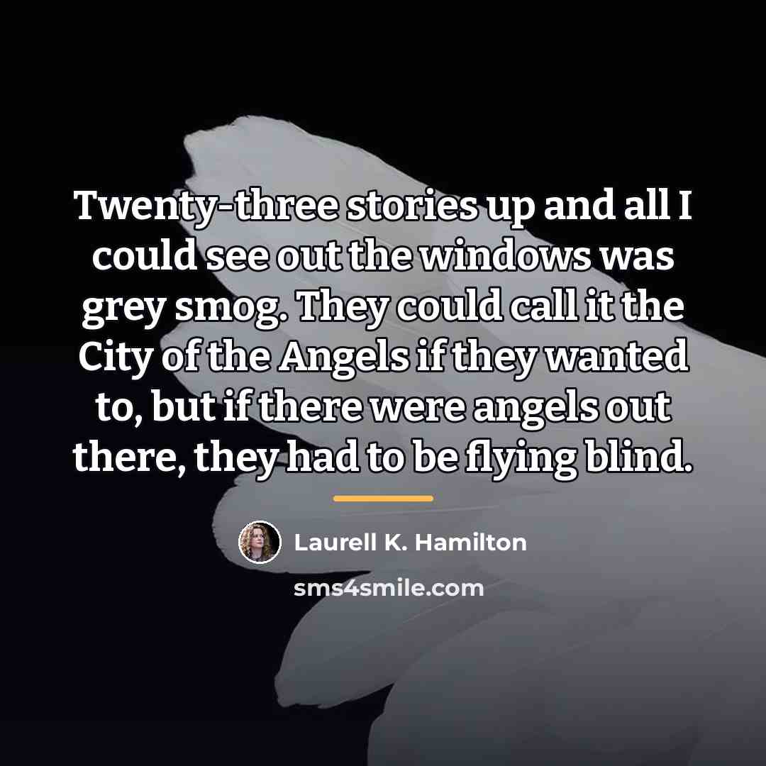 “Twenty-three stories up and all I could see out the…” quote by Laurell K. Hamilton