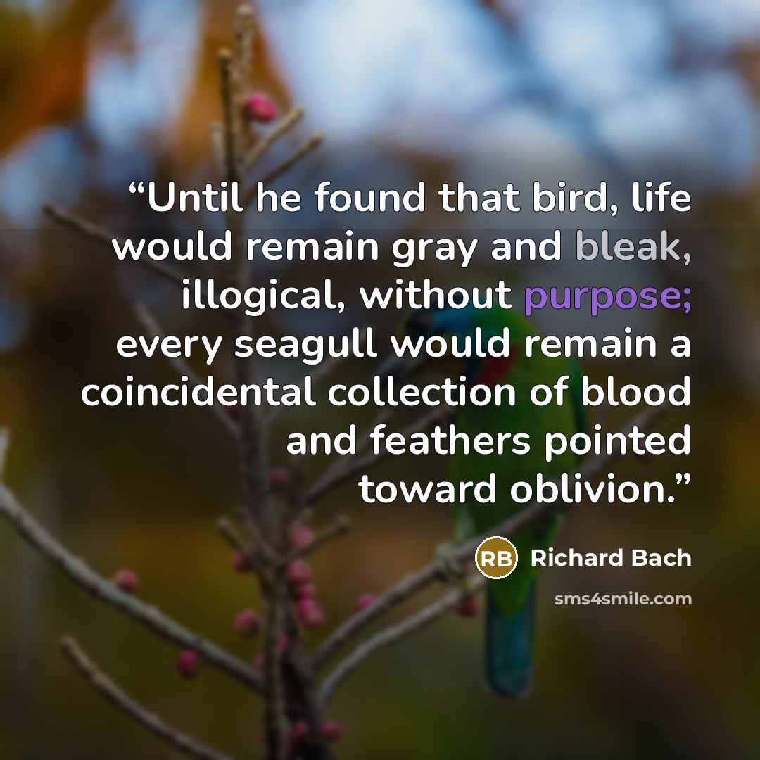 “Until he found that bird, life would remain gray and bleak, illogical, without purpose; every seagull would remain a coincidental collection of blood and feathers pointed toward oblivion.” quote by Richard Bach