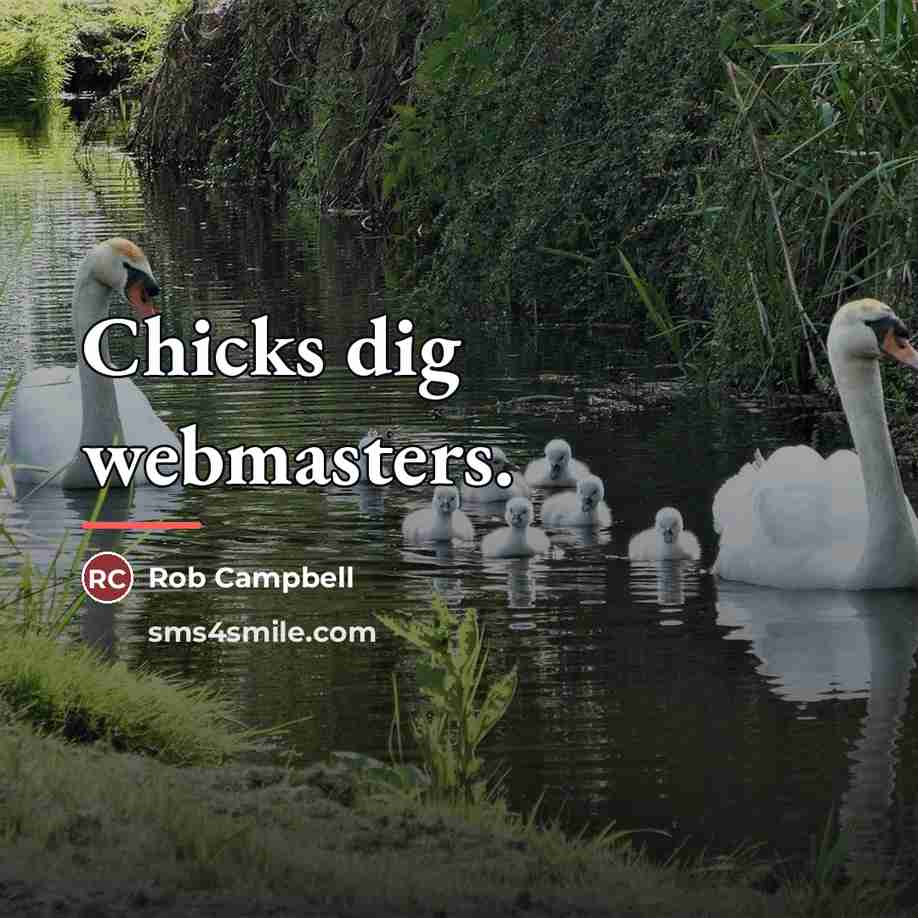 “Chicks dig webmasters.…” quote by Rob Campbell