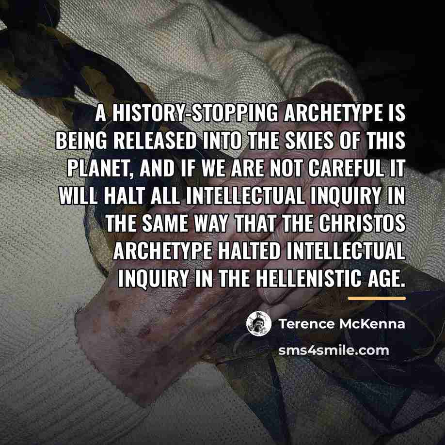 “A history-stopping archetype is being released into the skies of…” quote by Terence McKenna