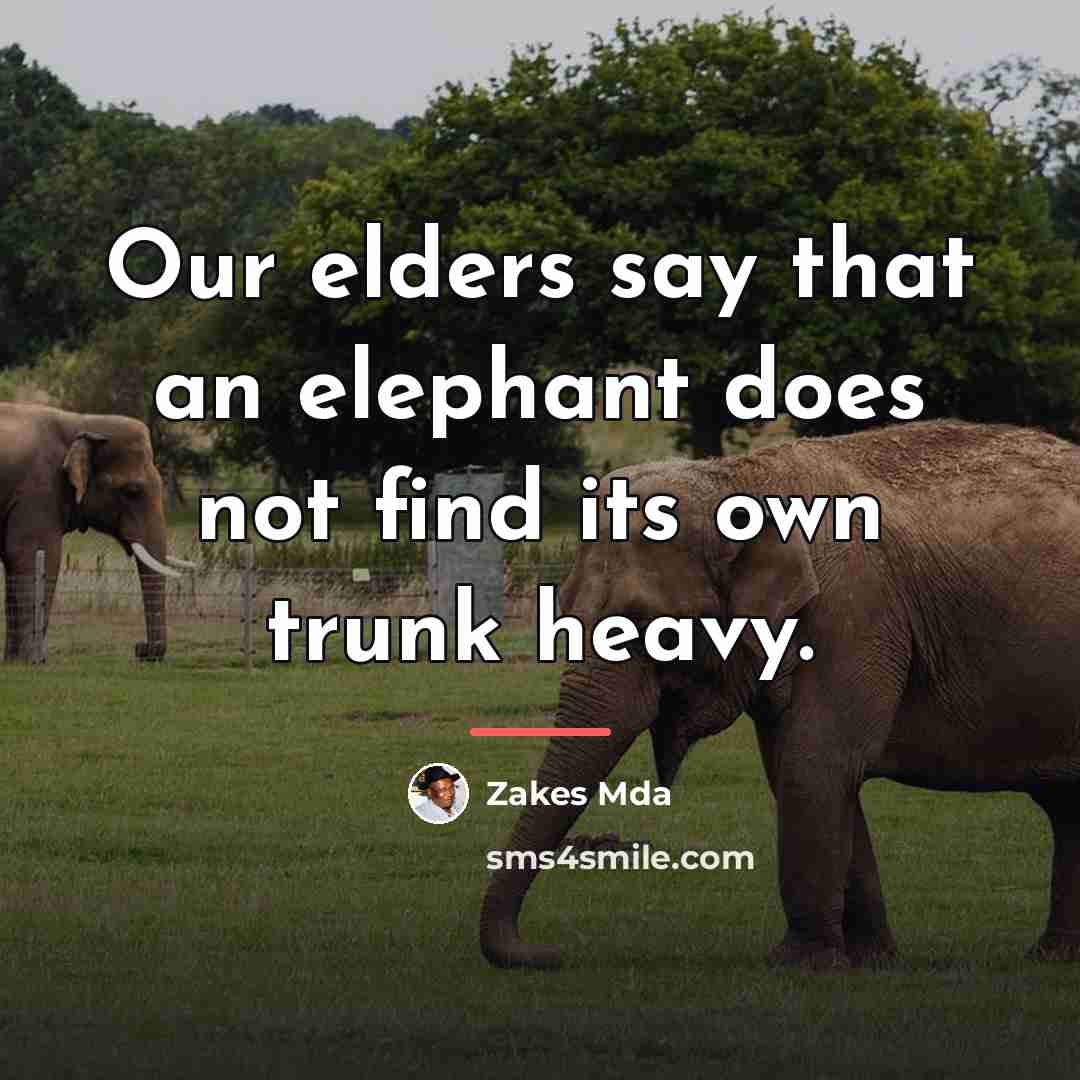 “Our elders say that an elephant does not find its…” quote by Zakes Mda