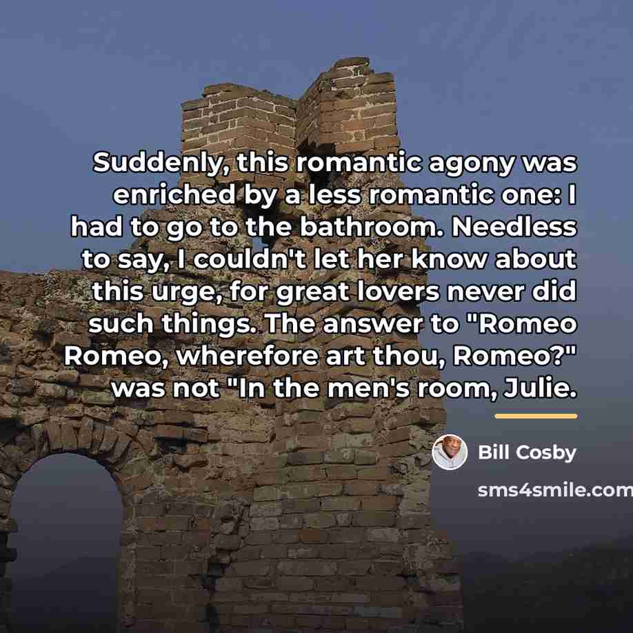 “Suddenly, this romantic agony was enriched by a less romantic…” quote by Bill Cosby