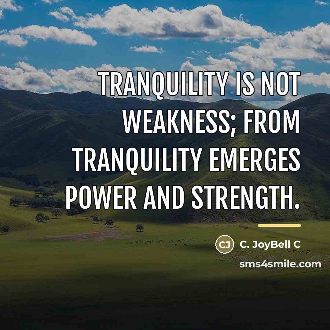 “Tranquility is not weakness; from tranquility emerges power and strength.…” quote by C. JoyBell C