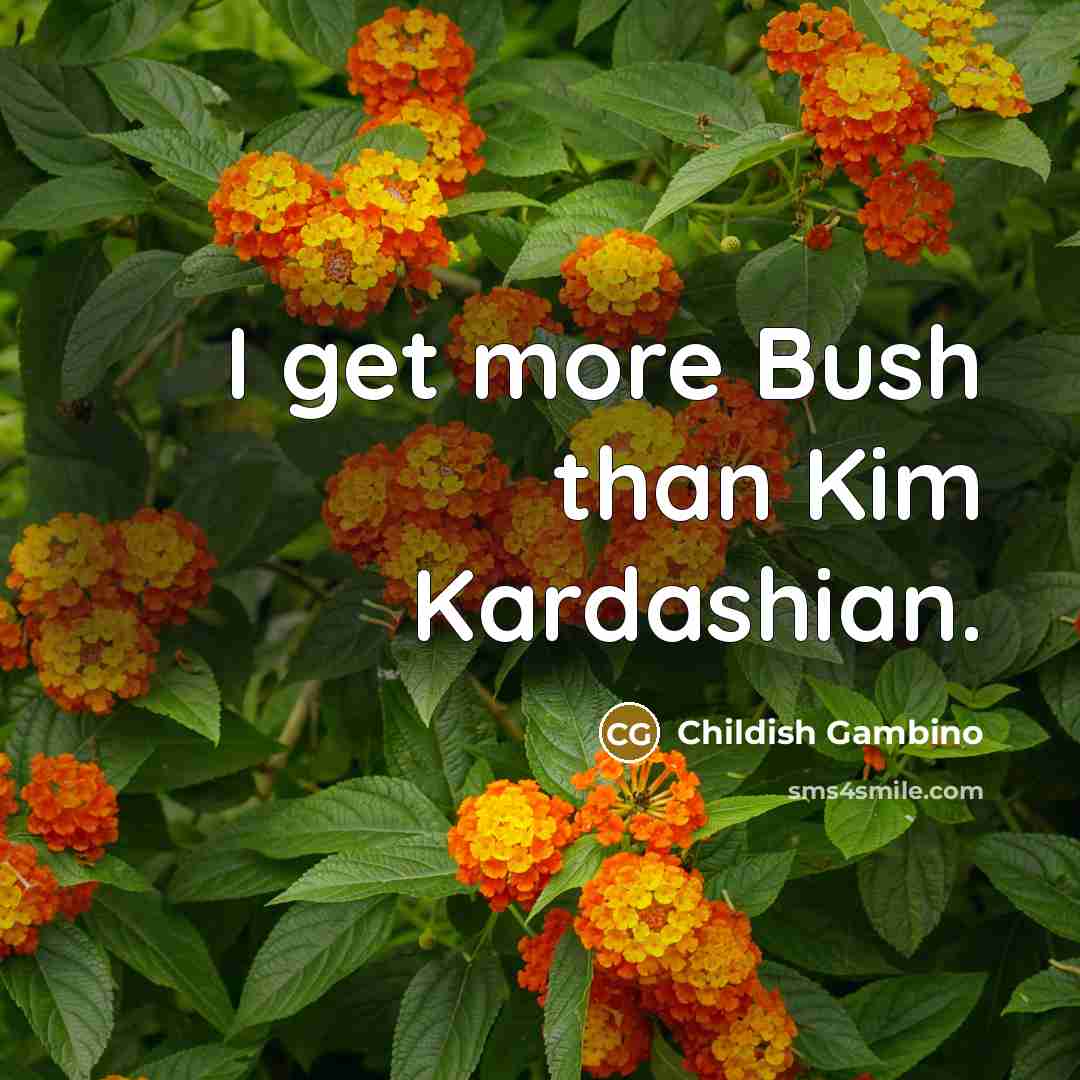 “I get more Bush than Kim Kardashian.” quote by Childish Gambino