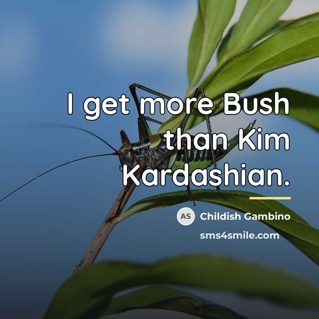 “I get more Bush than Kim Kardashian.…” quote by Childish Gambino