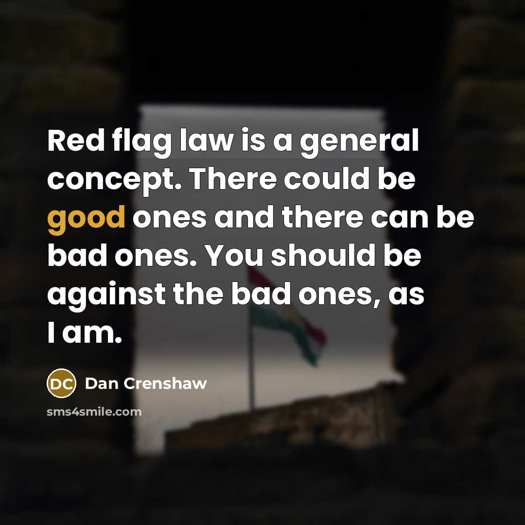 “Red flag law is a general concept. There could be…” quote by Dan Crenshaw