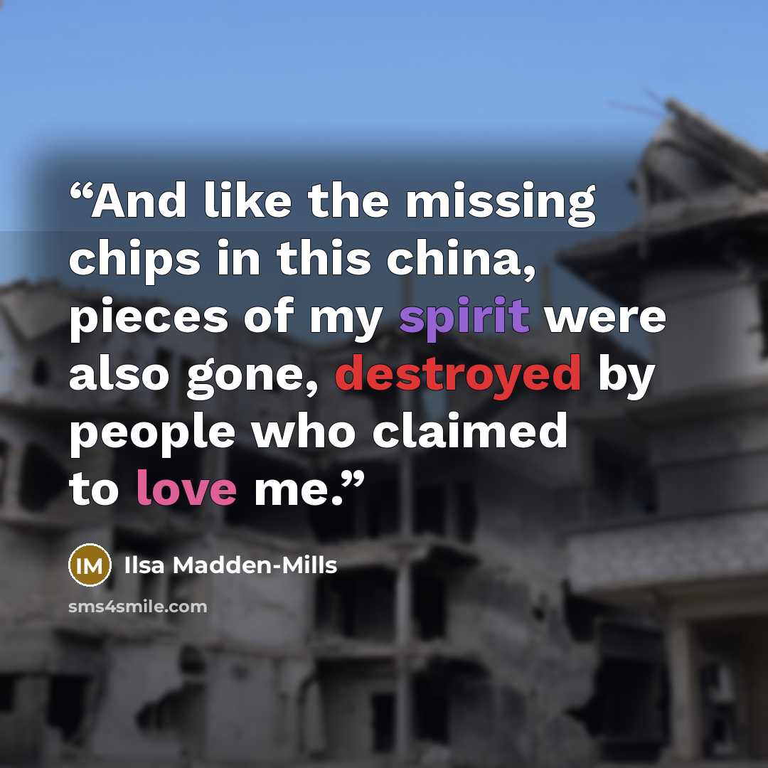 “And like the missing chips in this china, pieces of my spirit were also gone, destroyed by people who claimed to love me.” quote by Ilsa Madden-Mills