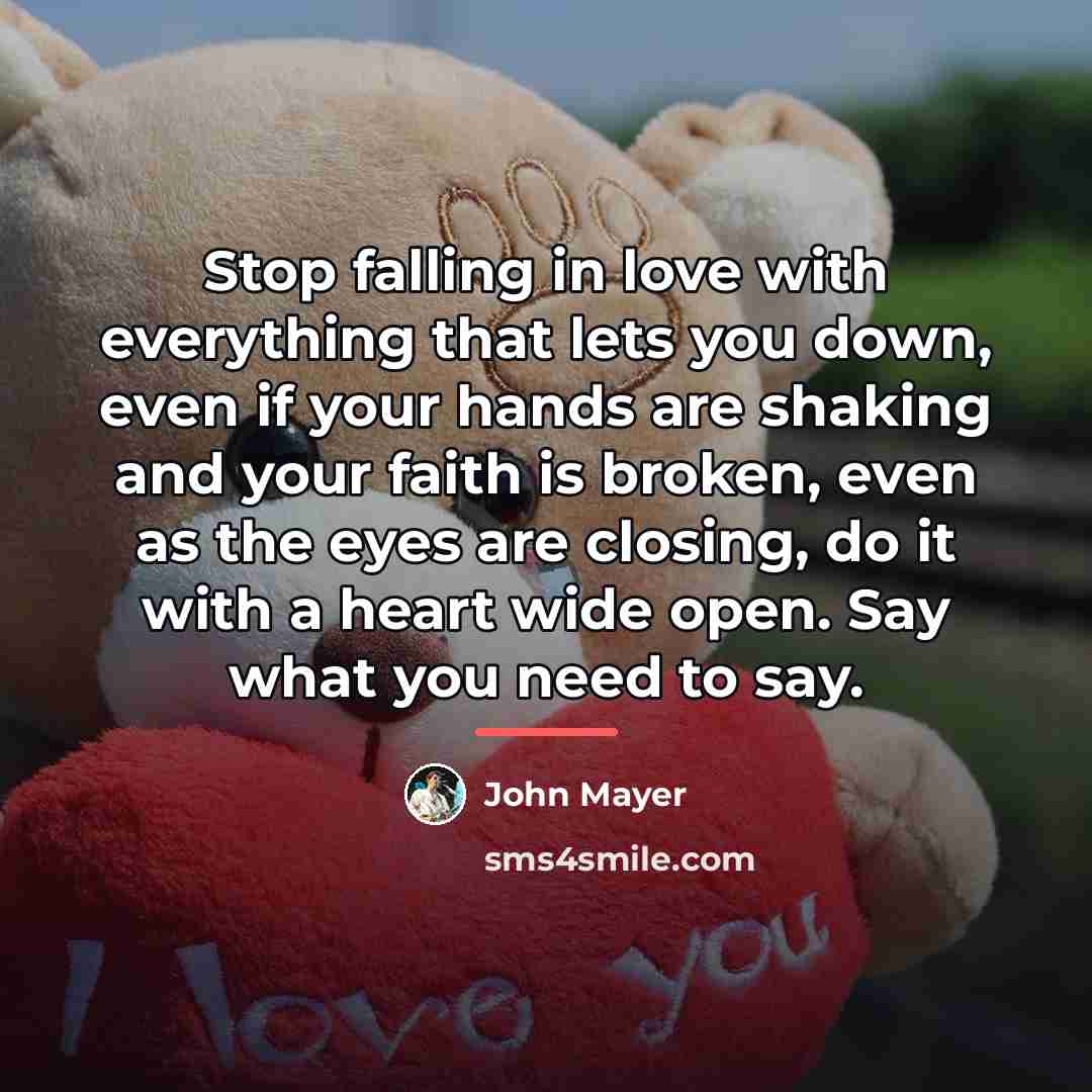 “Stop falling in love with everything that lets you down,…” quote by John Mayer