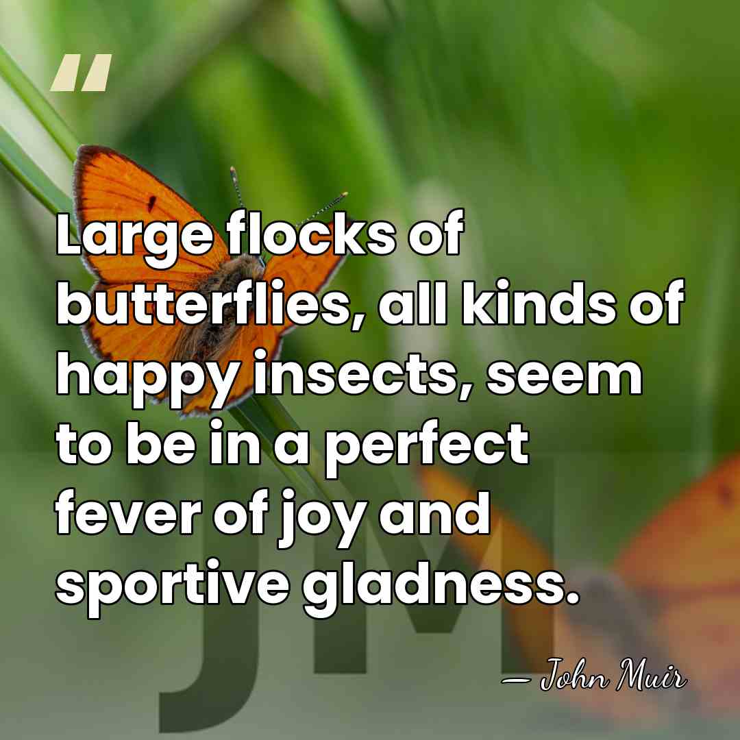 Large flocks of butterflies, all kinds of happy insects, seem to be&hellip; - John Muir