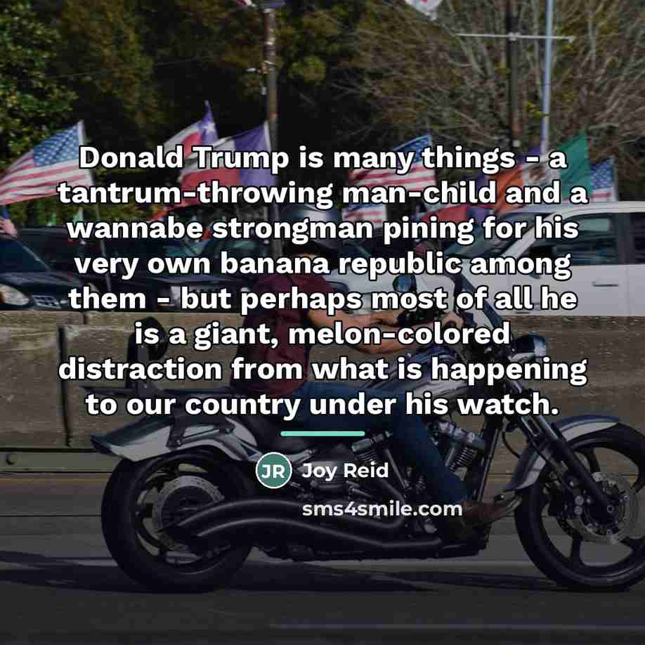 “Donald Trump is many things - a tantrum-throwing man-child and…” quote by Joy Reid