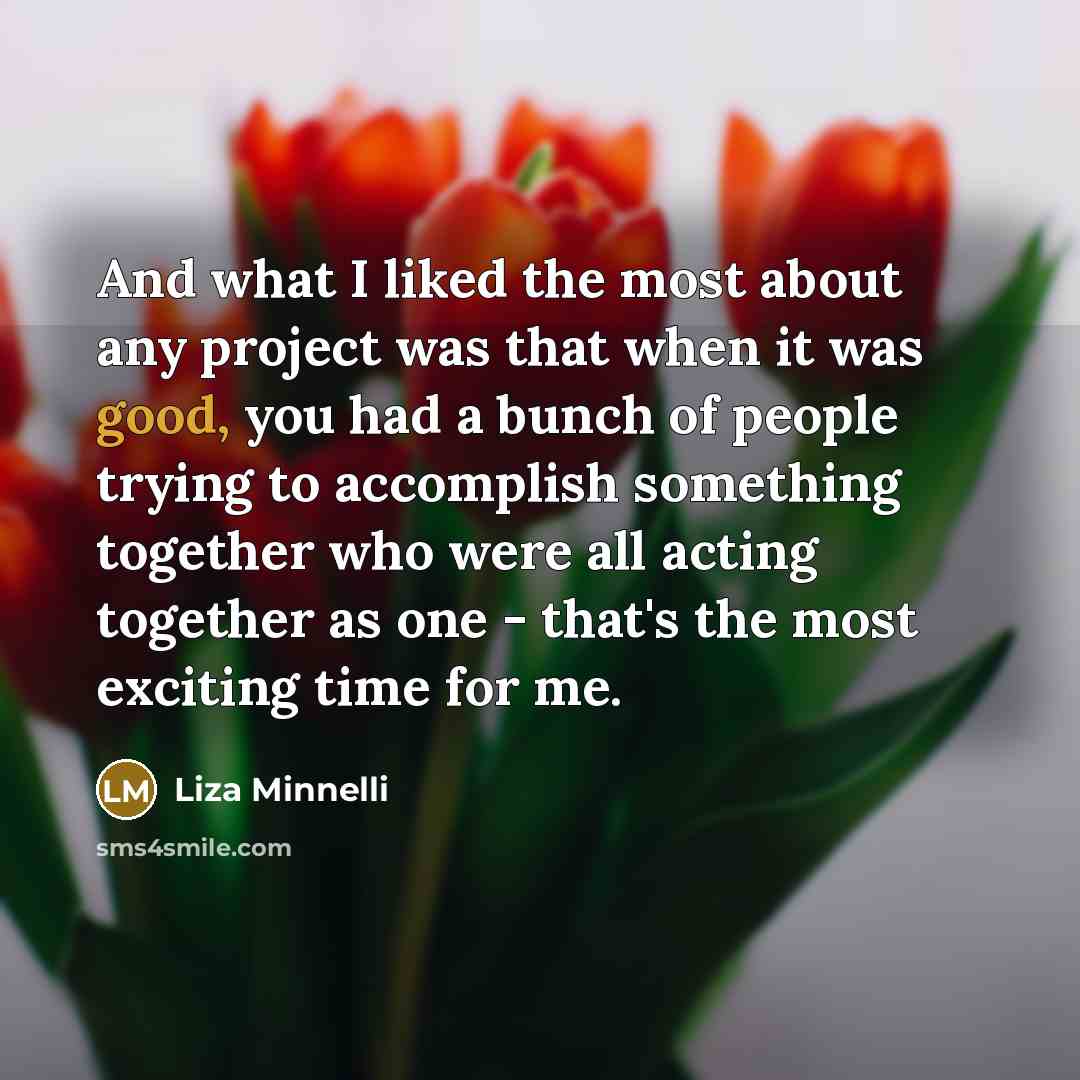 “And what I liked the most about any project was…” quote by Liza Minnelli