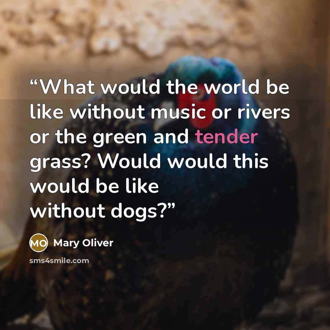 “What would the world be like without music or rivers or the green and tender grass? Would would this would be like without dogs?” quote by Mary Oliver