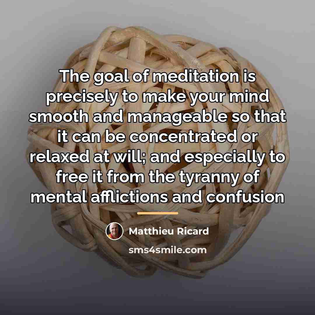 “The goal of meditation is precisely to make your mind…” quote by Matthieu Ricard